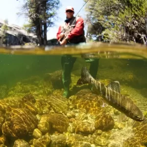 pesca con mosca