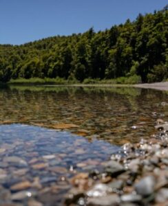 lago Krugger