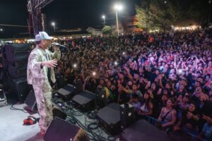 Mega Festival Volumen IV